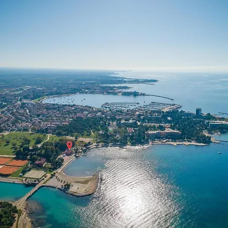 Ferlin Umag